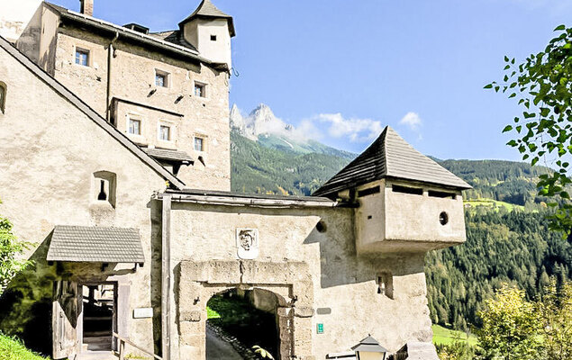 Edelweiss - Photo 17