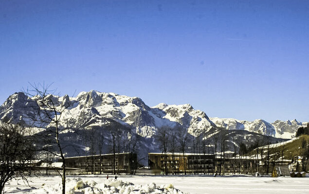 Edelweiss - Photo 24