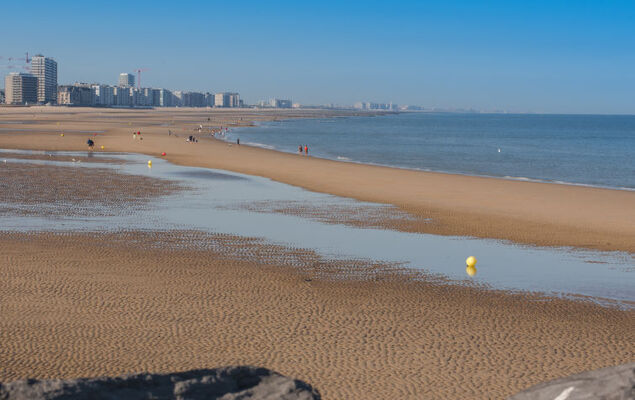 Domicile adoré - Photo 43