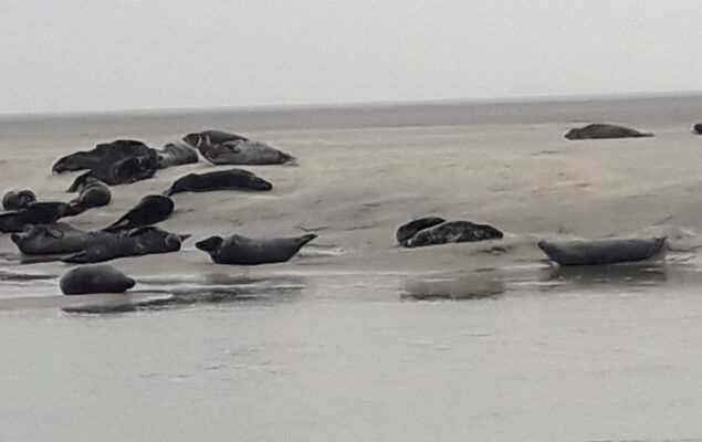 Le Refuge - Photo 22