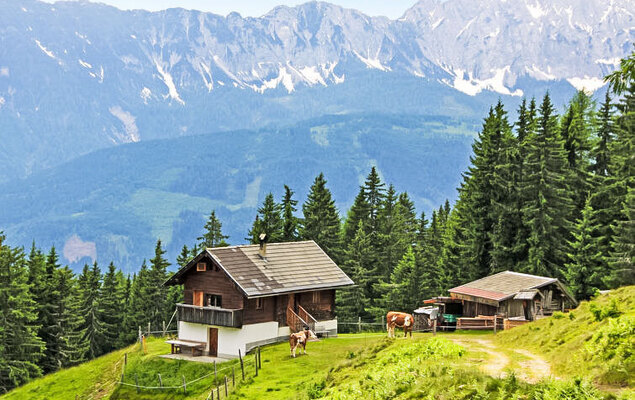 Wassertheureralm - Photo 14